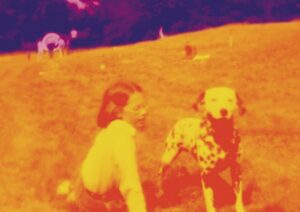 Eels blinking lights vinyle limité