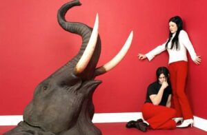 Elephant white stripes vinyle