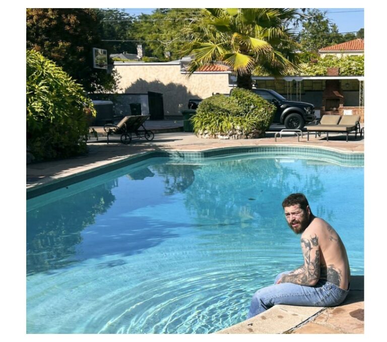 Austin post malone vinyle