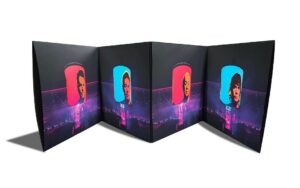Indochine coffret vinyle central tour