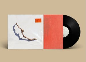 Pj harvey i inside the old year dying vinyle