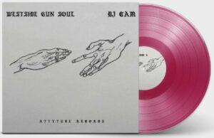 Westside gun soul dj cam