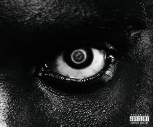 Lithopedion vinyle damso