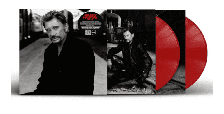 Johnny hallyday vinyle duos
