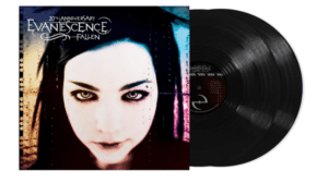 Evanescence vinyle fallen