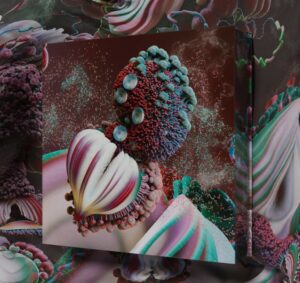 Fossora Bjork Vinyle Coffret