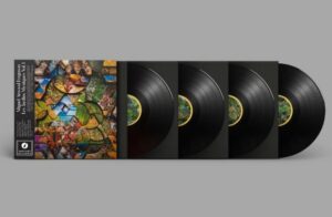 Les Jardins Mystiques Vinyle Miguel Atwood Ferguson