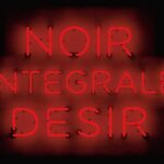 Coffret Vinyle Noir Desir Integral