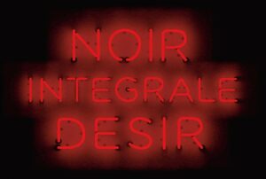 Coffret Vinyle Noir Desir Integral