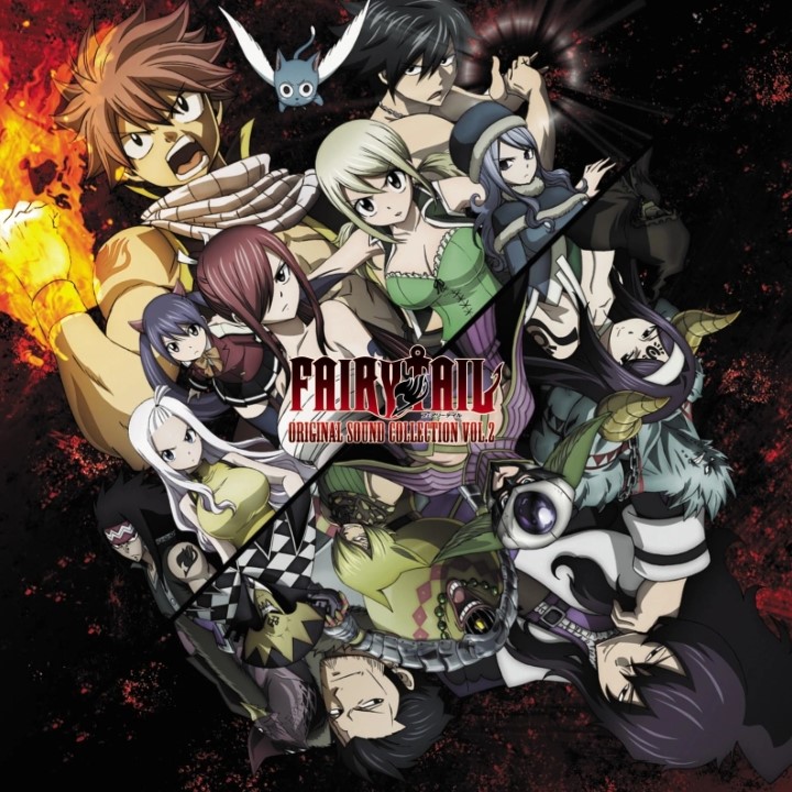 Fairy Tail Vinyle