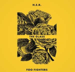 The Glass Foo Fighters Her Vinyle