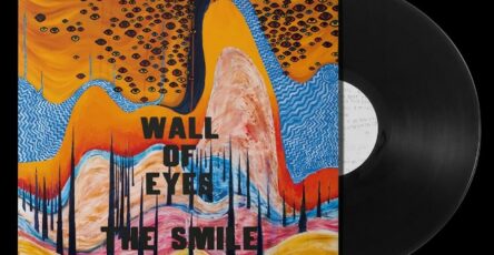 Wall Of Eyes The Smile Vinyle