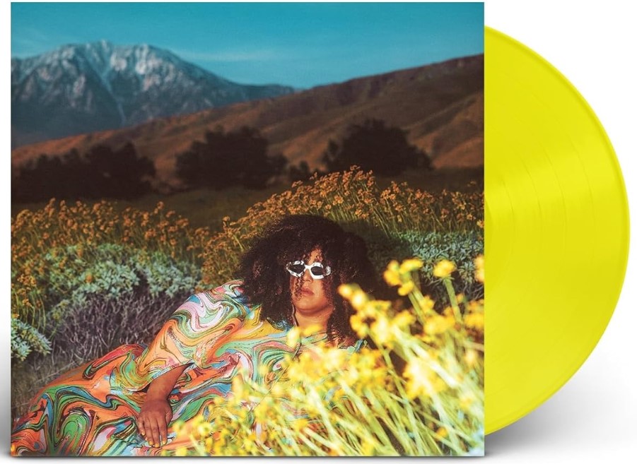 Brittany Howard What Now Vinyle