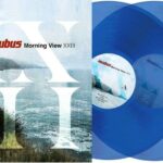 Incubus Morning View Vinyle