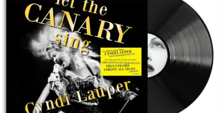 Cyndi Lauper Vinyle Let The Canary Sing