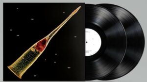 Leprous Vinyle Melodies Atonement