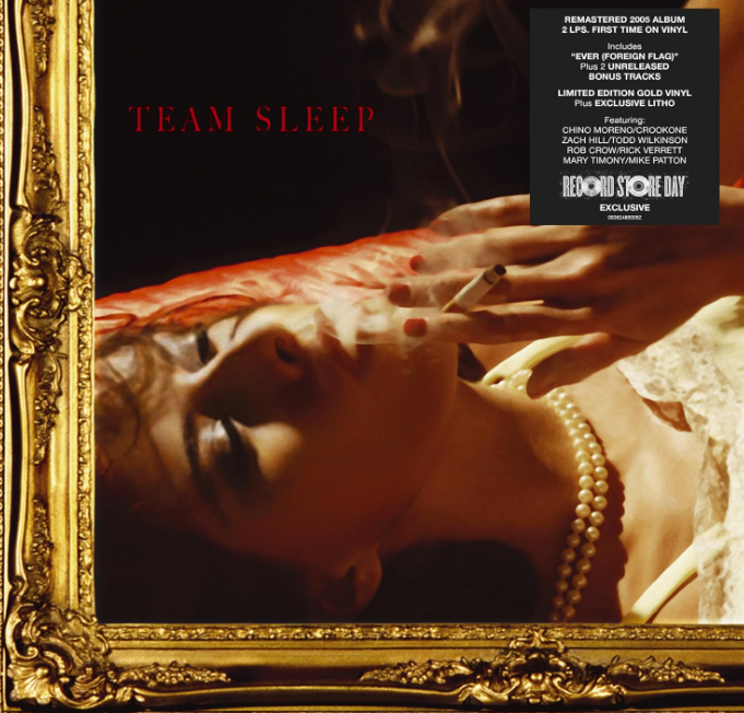 Team Sleep Vinyle