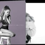 Ariana Grande Vinyle Everything