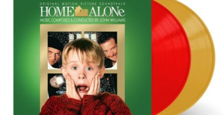 Maman Rate Avion Home Alone Vinyle