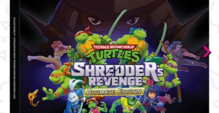 Shredder's Revenge Vinyle Tortues Ninja