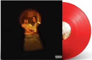 Selena gomez vinyle said you love first