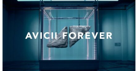Avicii forever vinyle