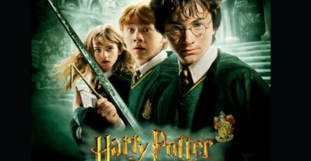 Harry potter vinyle collection