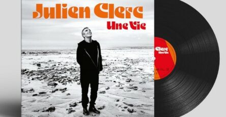 Julien clerc vinyle une vie