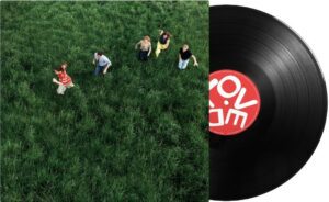 Parcels vinyle loved