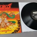Serpent temptation vinyle incubus
