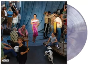 demi lovato vinyle not that deep