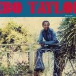 ebo taylor vinyle