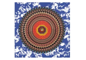 Their Satanic Majesties vinyle zoetrop edition limitee