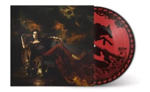 solann vinyle edition limitee picture disc sombre beau