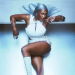 aya nakamura vinyle destinee edition limitee