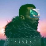 disiz vinyle pacifique