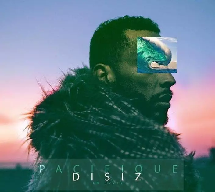 disiz vinyle pacifique