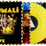 lanomalie vinyle totem live