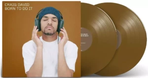 craig david vinyle born to do it