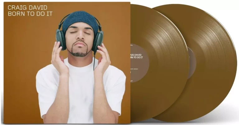 craig david vinyle born to do it