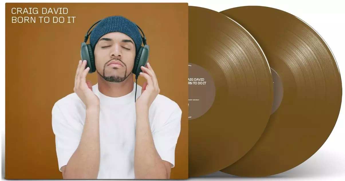 craig david vinyle born to do it