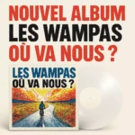 wampas vinyle ou va nous