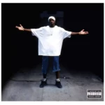 Big L vinyle harlems finest return king