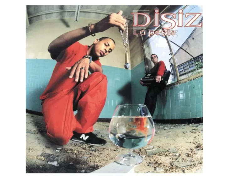 disiz vinyle Le poisson rouge