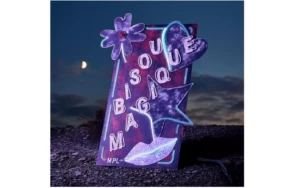 MPL vinyle Bisou magique