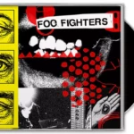 Foo fighters vinyle your favorite toy