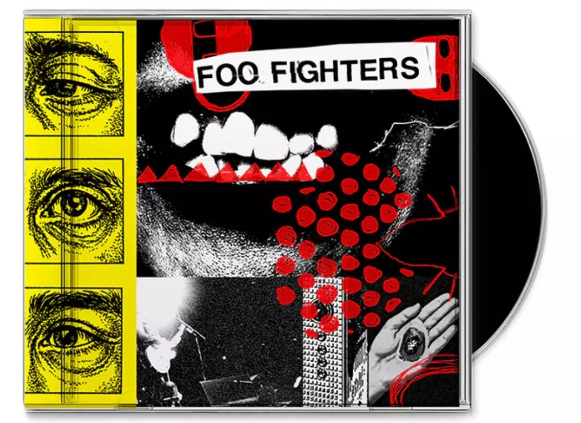 Foo fighters vinyle your favorite toy