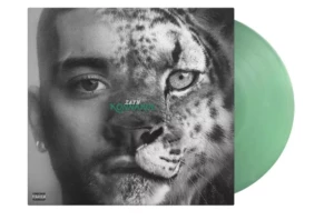 zayn vinyle konnakol