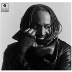 Thundercat vinyle Distracted