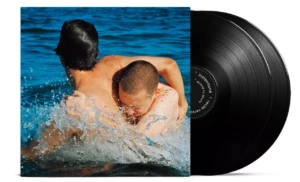 recto verso vinyle vanessa paradis